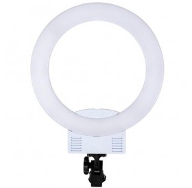 12" Upgrade Ultra-thin Infinity Dimming Double Color Temperature LED Ring Lamp White